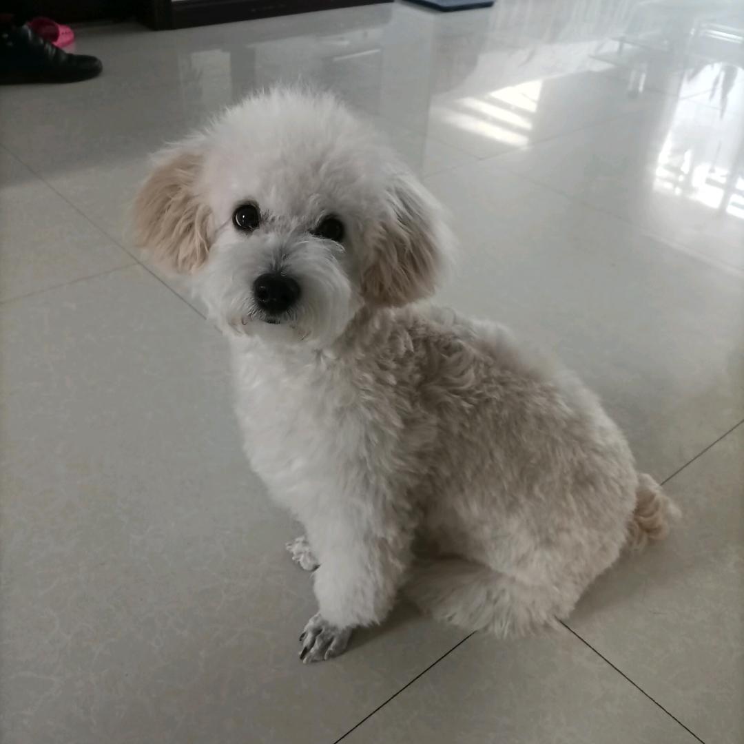 魏旭麻麻
