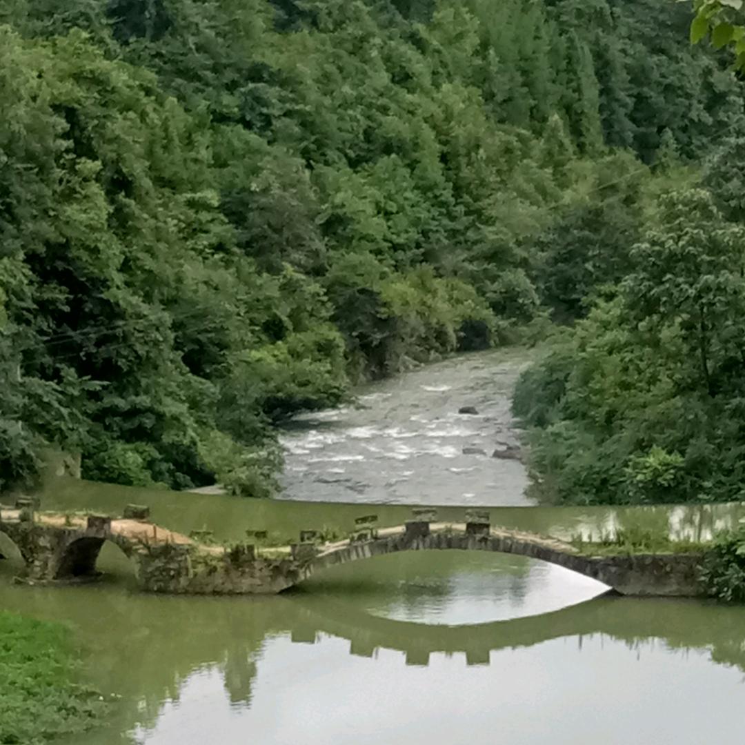 清风慕竹
