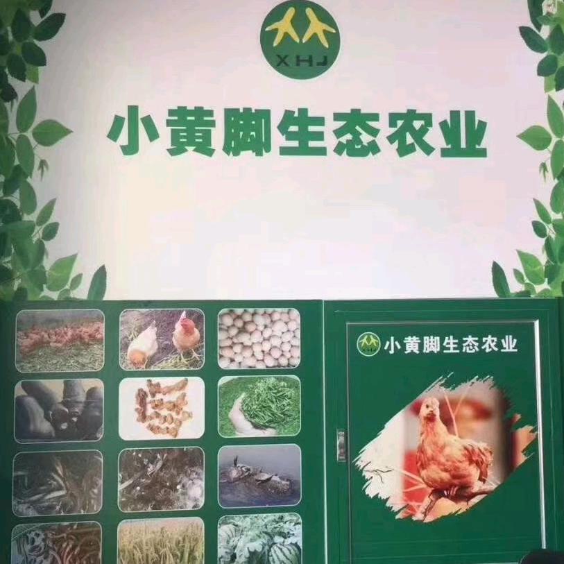 生态农业