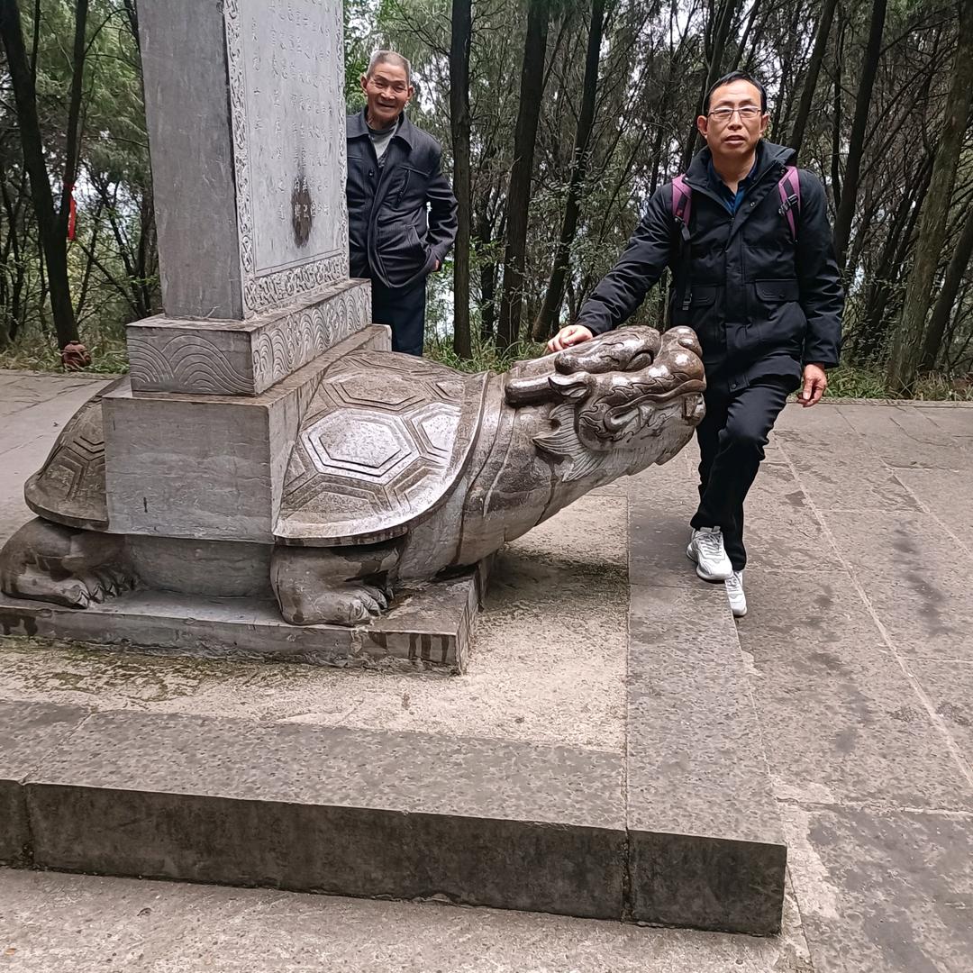 春天的脚步杨勇