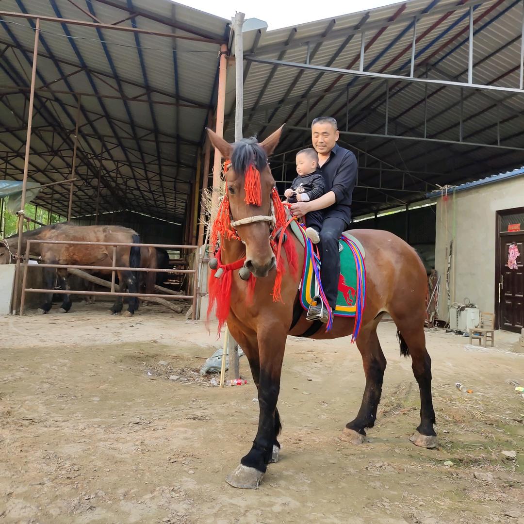 何五养殖场小牛中转站