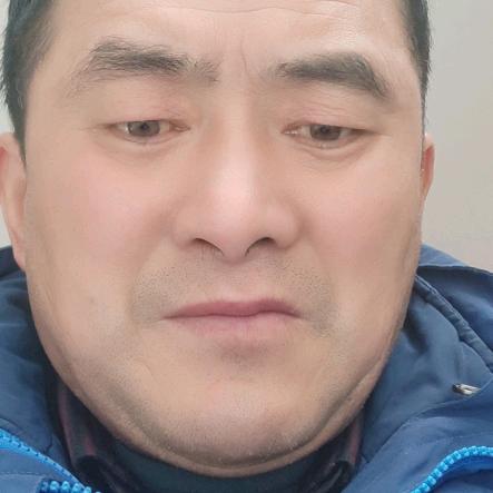 爱丽