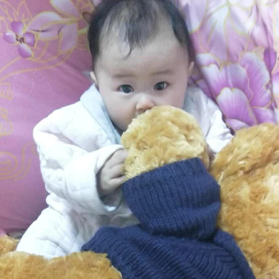 @会飞的猪