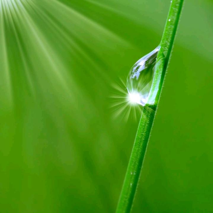 丝丝细雨
