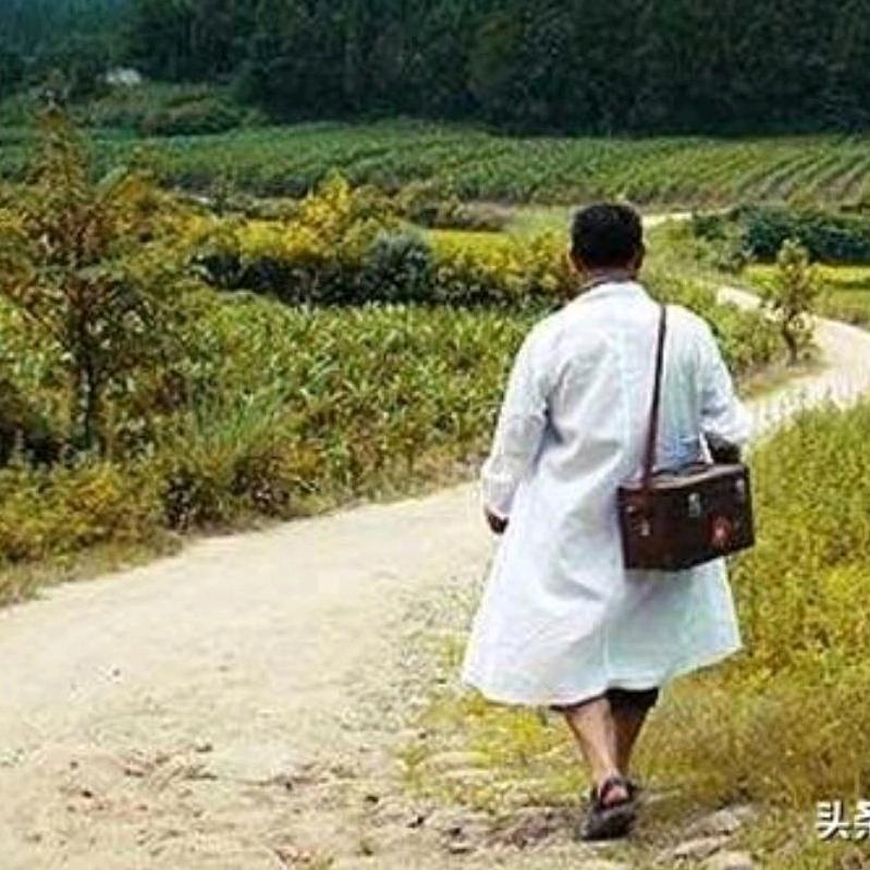 森森系