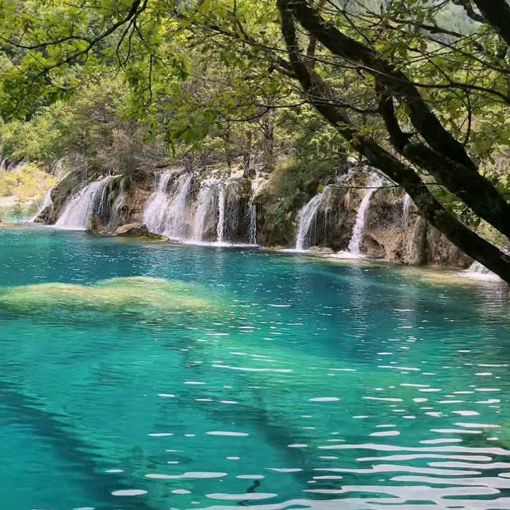 一个人的风景