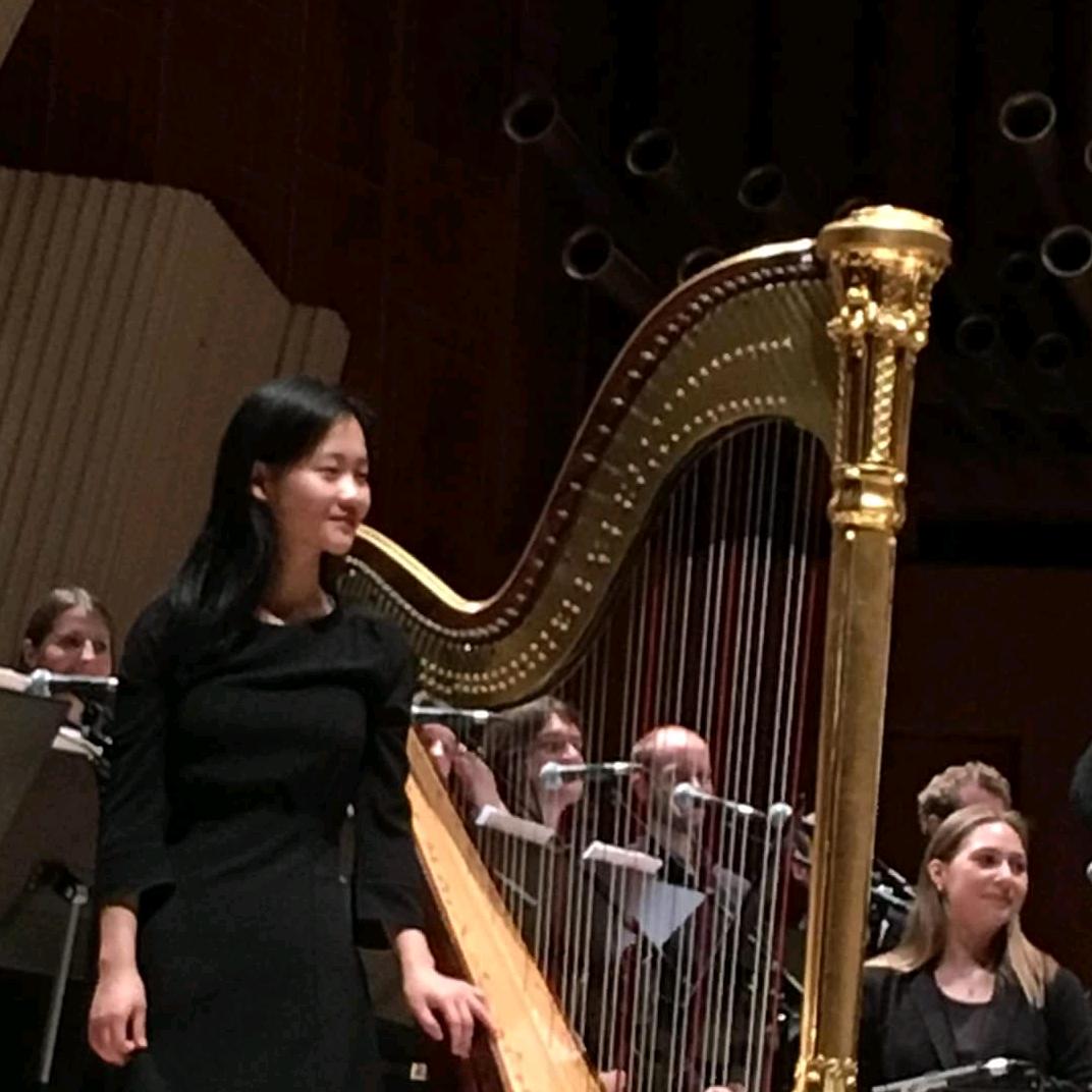 竖琴李吾真Harp