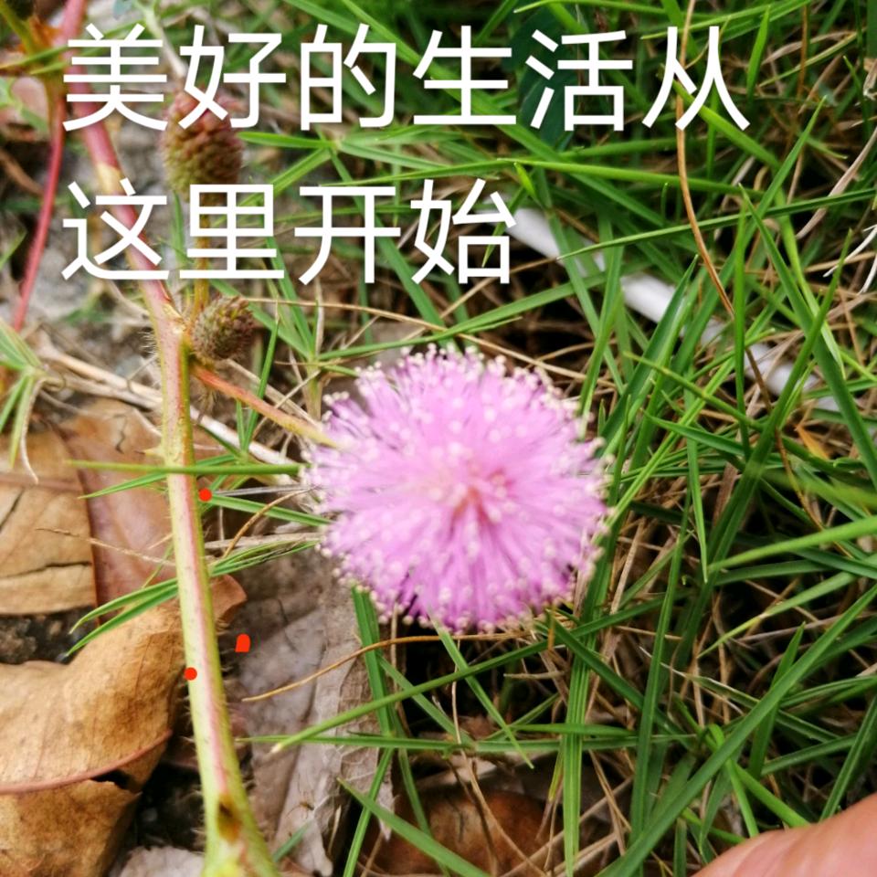 渴望