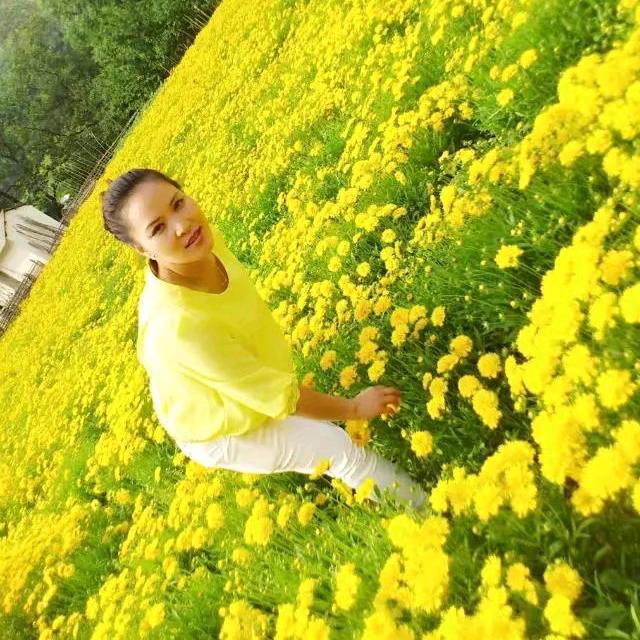 老君山伴山悦民宿
