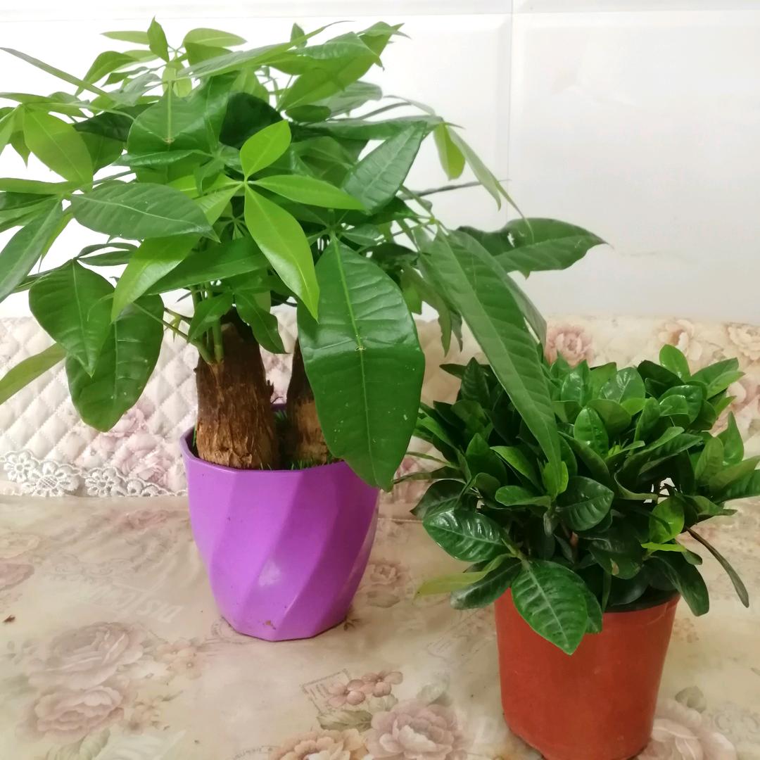 馨赫好物甄选（请勿连赞，谢谢）