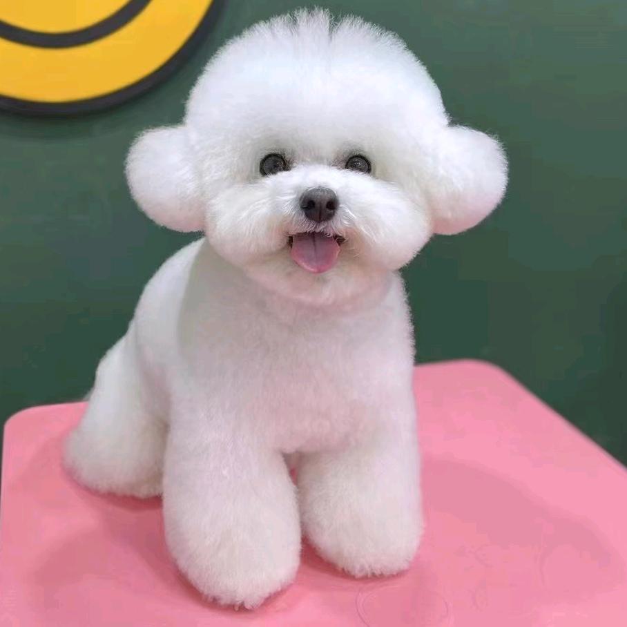 七妈
