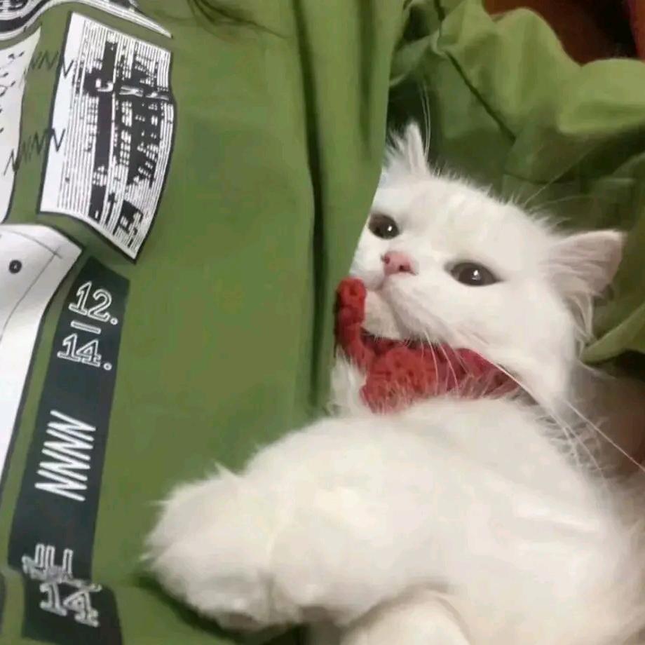 爱吃冰糖炖雪梨（希望被关注）