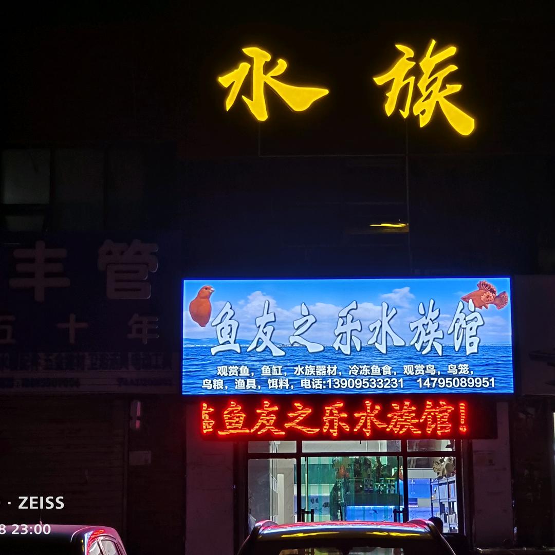 爱鱼人王伟先生