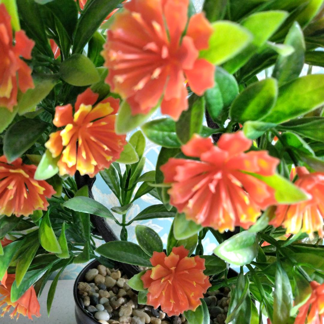 健康