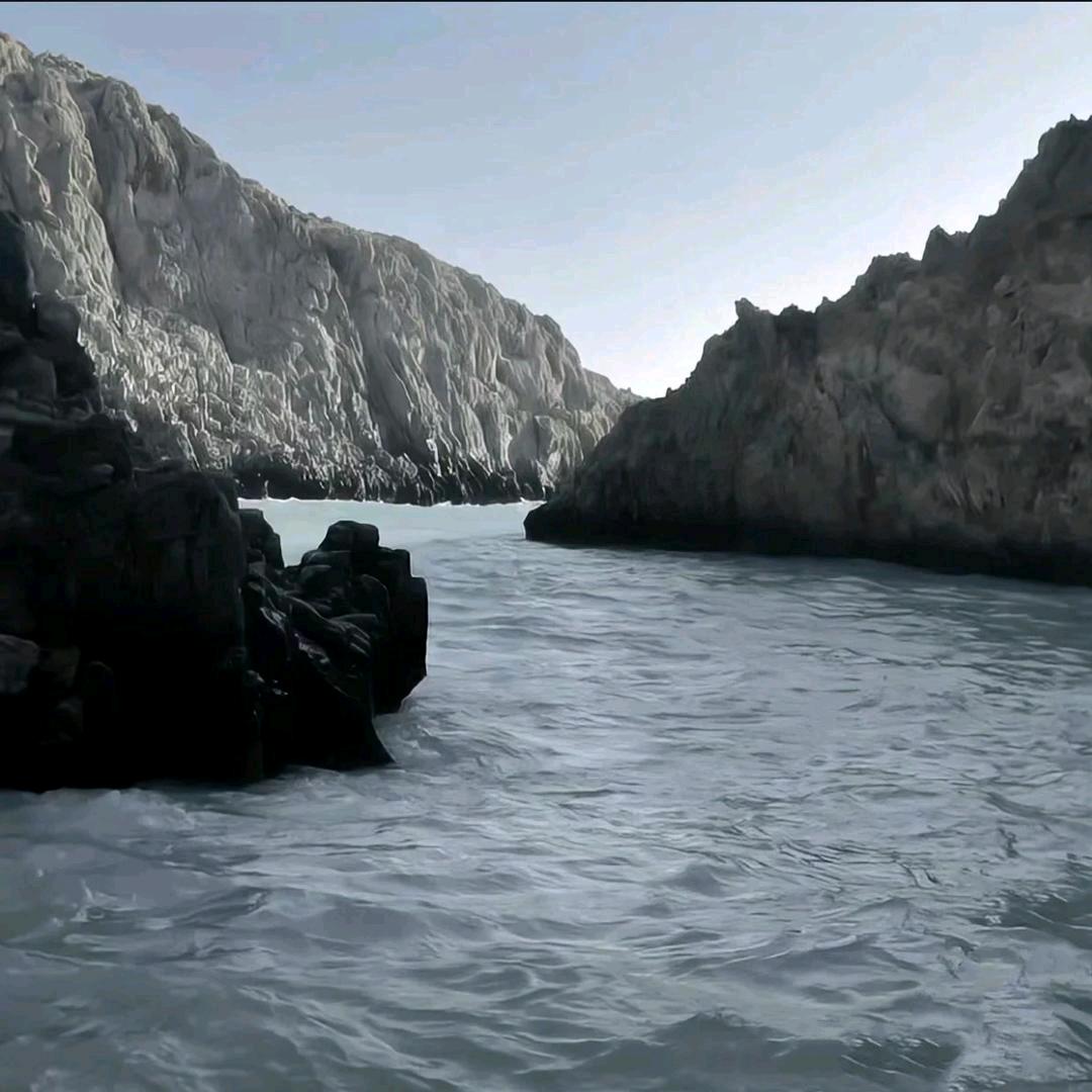 泰丰集团 李闻昊