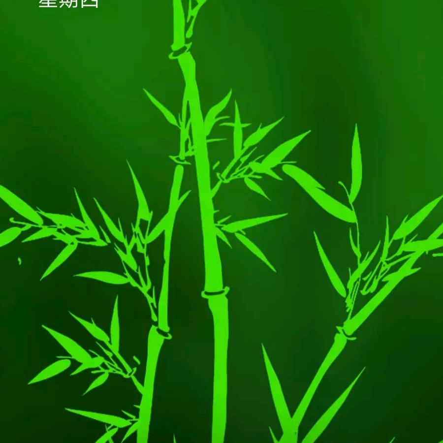 招聘海员招聘海鲜分拣工