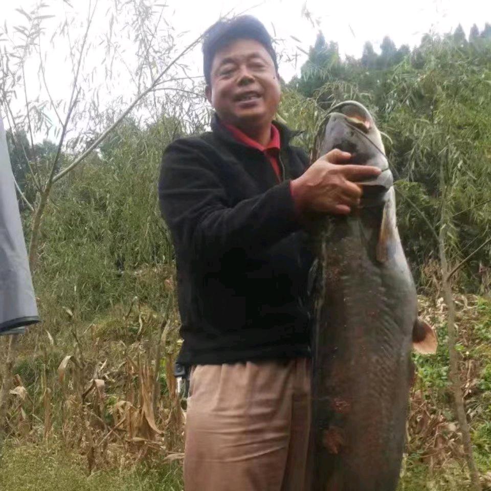 成都驾校凌教头
