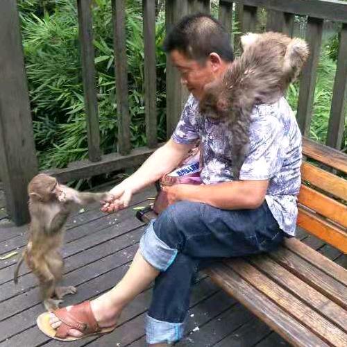 好男儿志在四方