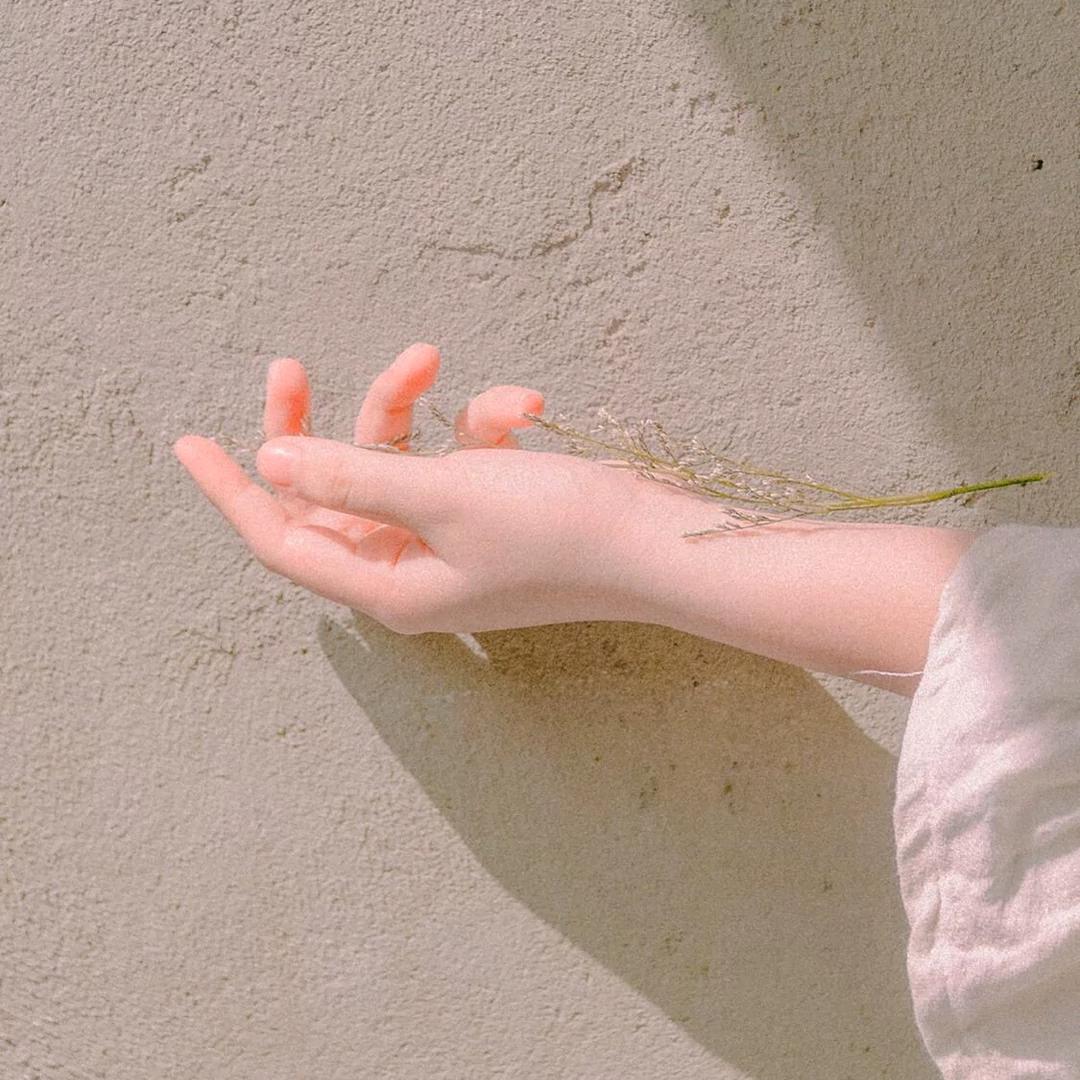 摇曳百合