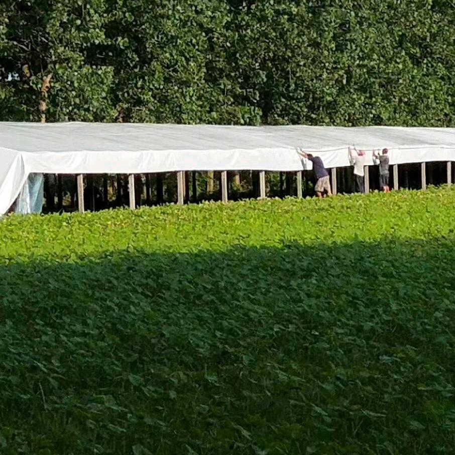 专业鸭棚谢天赐