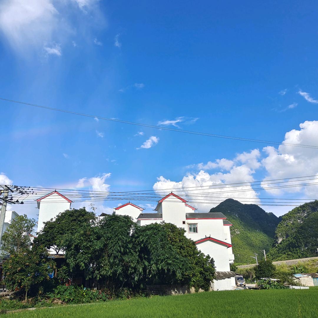 何必问