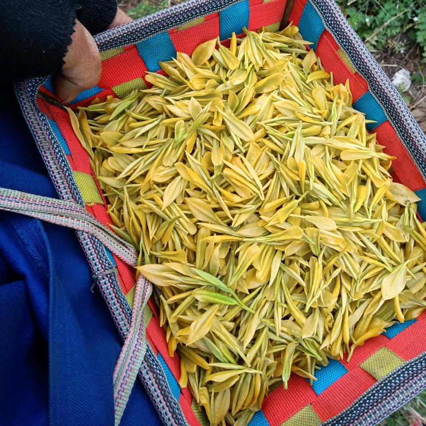 一家🍎幸🍎福