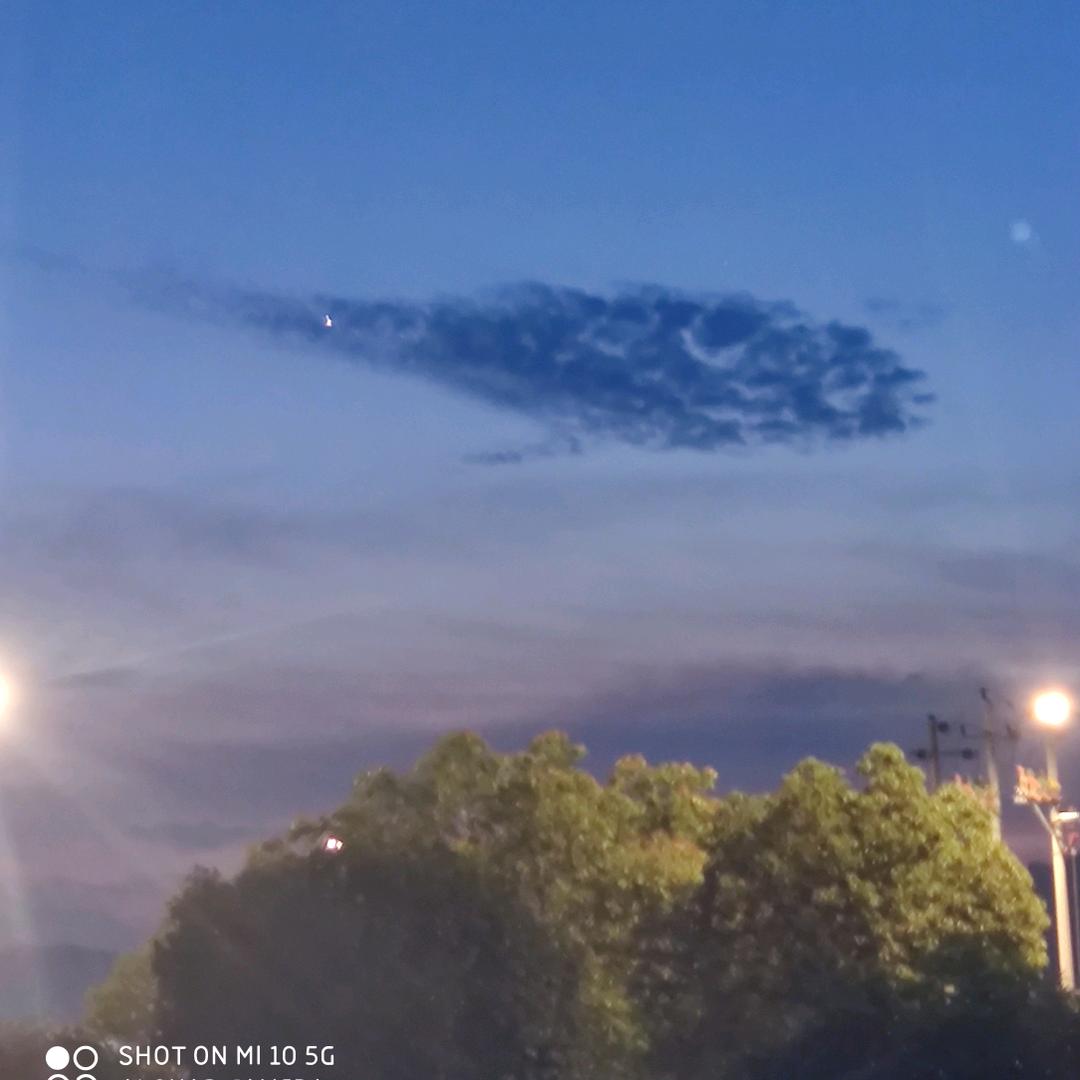 渔夫龙哥