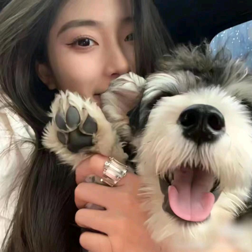 美丽的坏女人