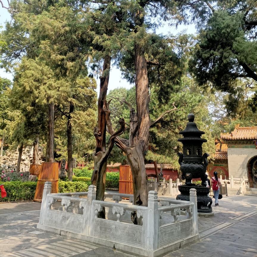 跟着时间走了又走