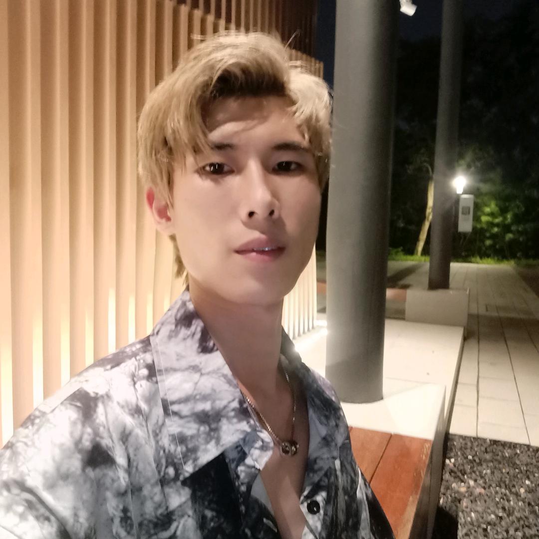 森林与鹿