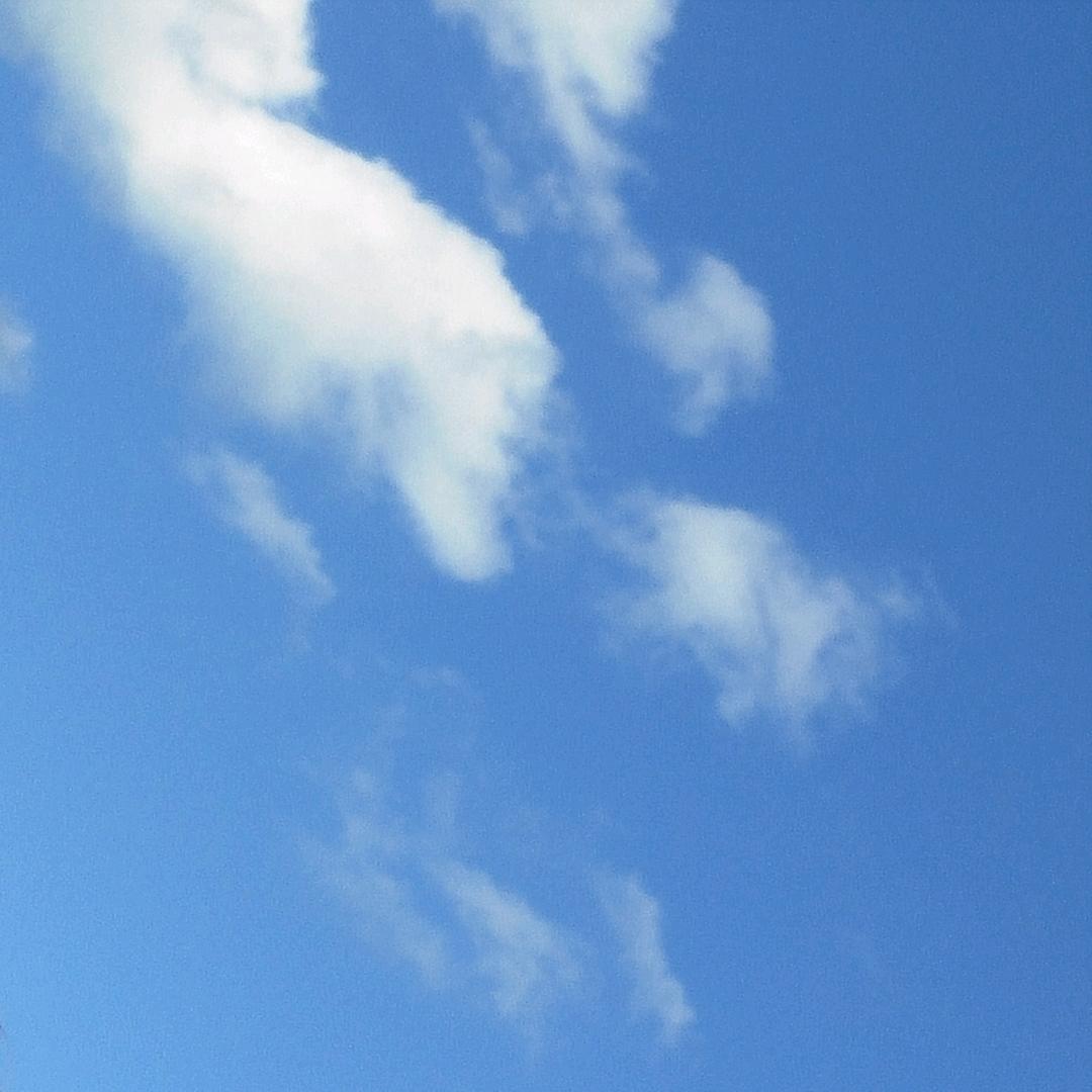 （      劲      ）