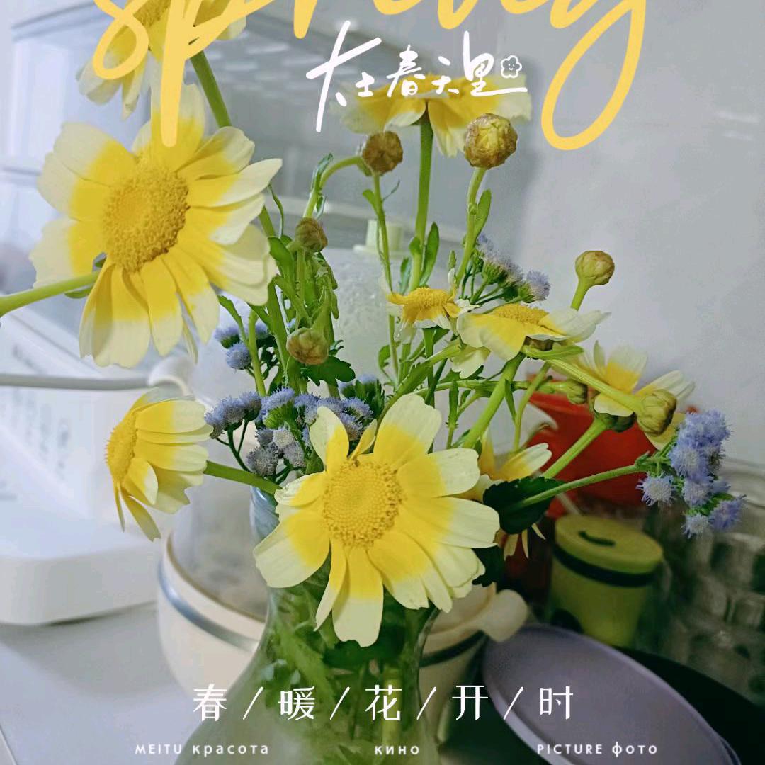 清清小铺