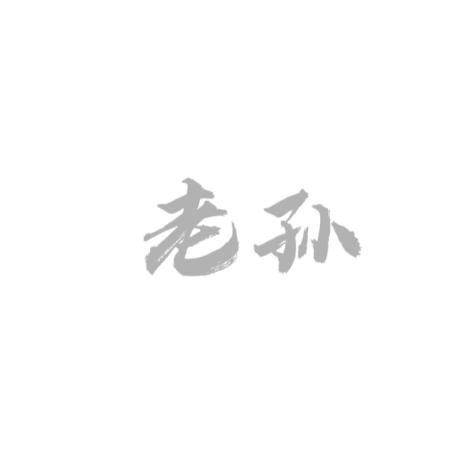 老孙