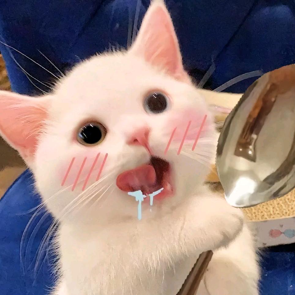 QQ