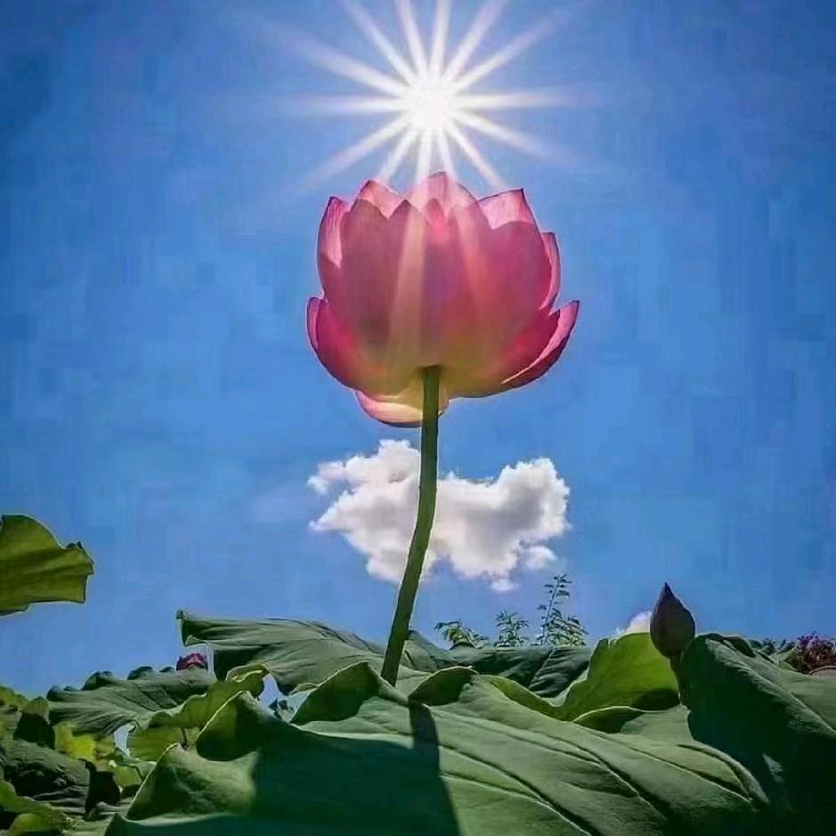 🌹❤️金玉满堂❤️🌹