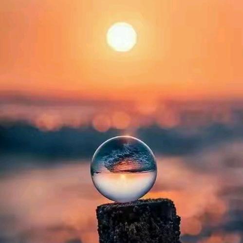 ☞卟离(ಥ_ಥ)卟弃☜