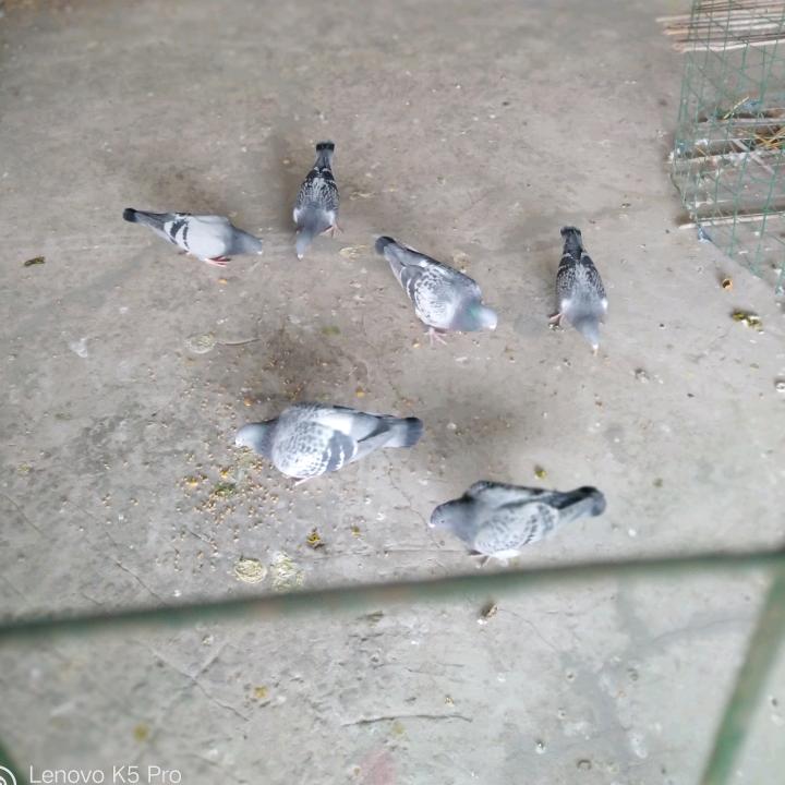 你是谁