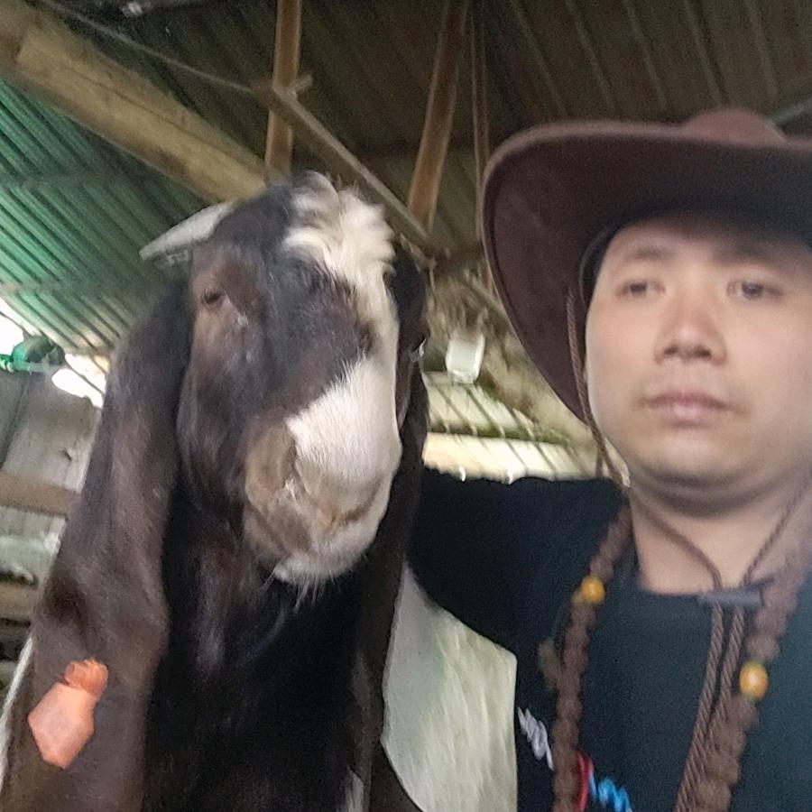 导师小强