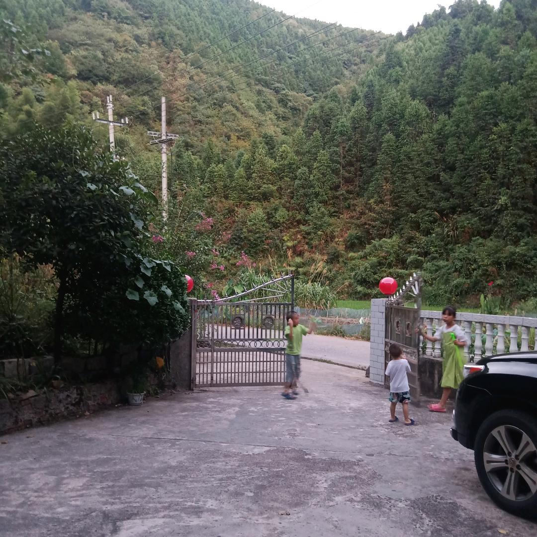 忠哥