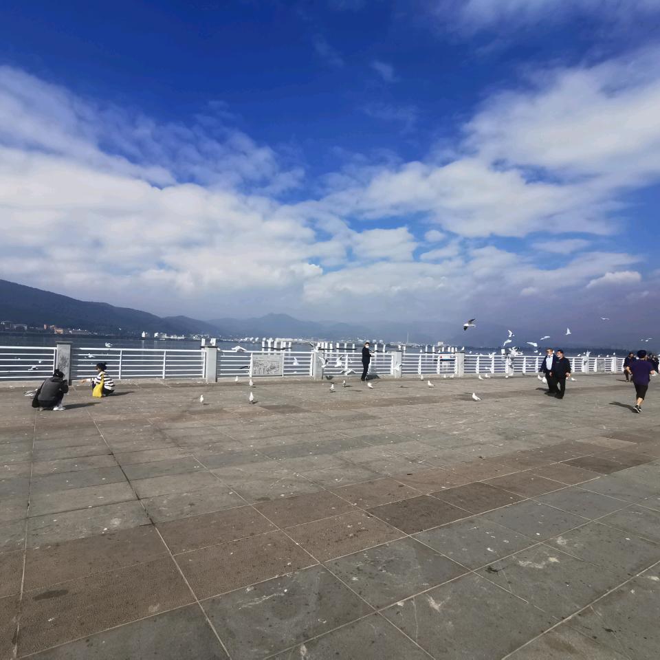 wang远野