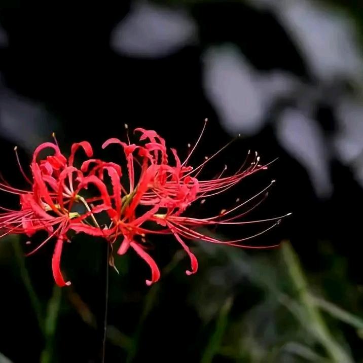 𒀱一҉暮҉歆҉尘҉𒀱