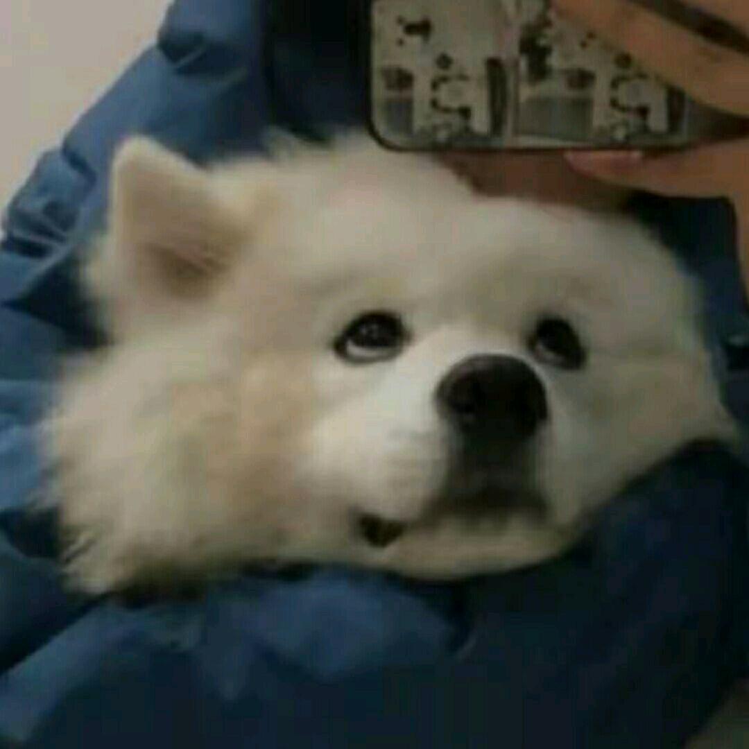 真的伤不起