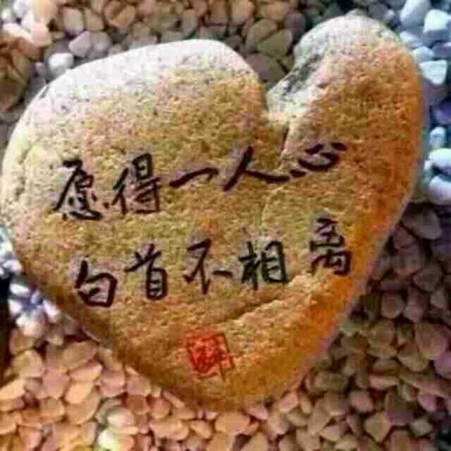 飛飝