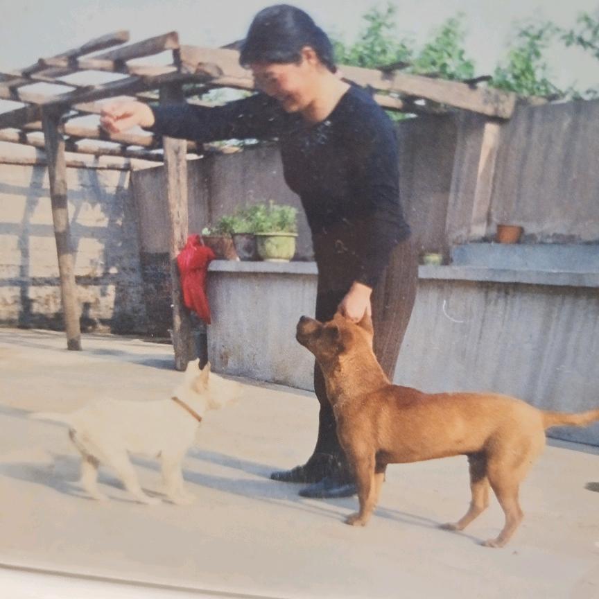 何二妹开心到老♥