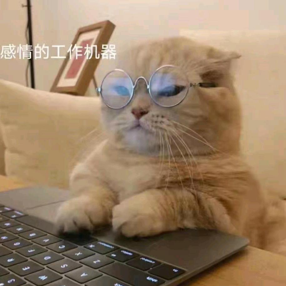 小鹿🦌