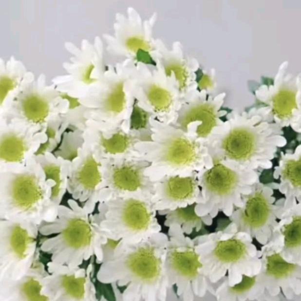 新起点（橱窗优品）