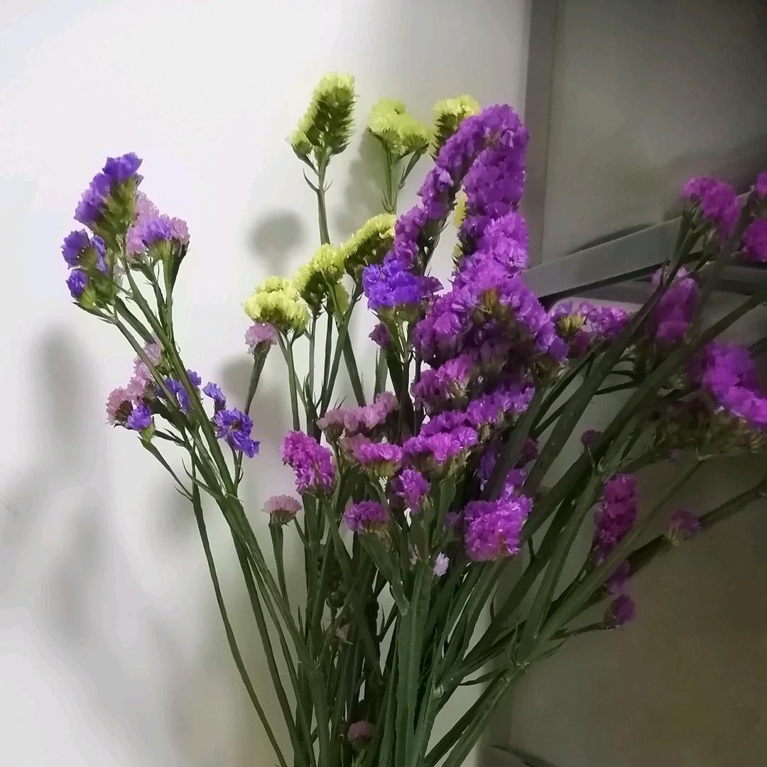 罗娟