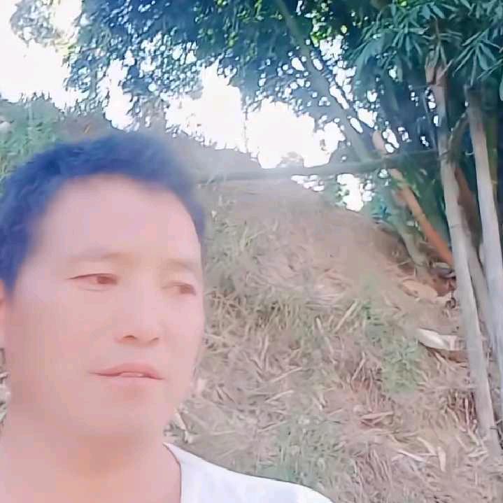 梦想远方