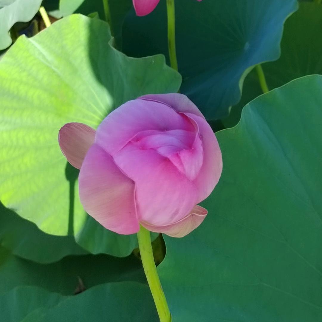 越来越好-