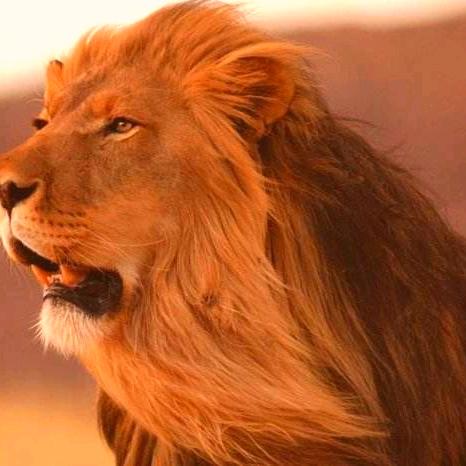 贵州名轮特汽车服务有限公司